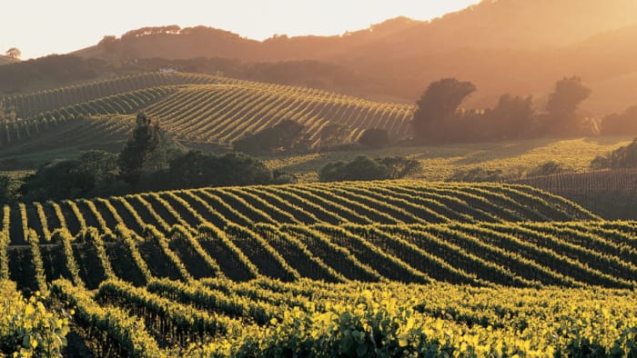 Image Courtesy of Four Seasons Resort and Residences Napa Valley